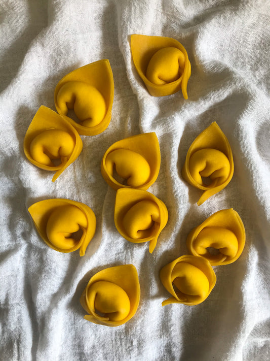 THANKSGIVING SPECIAL: SQUASH TORTELLONI